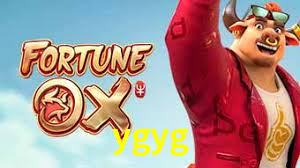 ygyg,ygyg.com